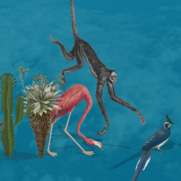 Ilustračný obrázok - vymieranie druhov